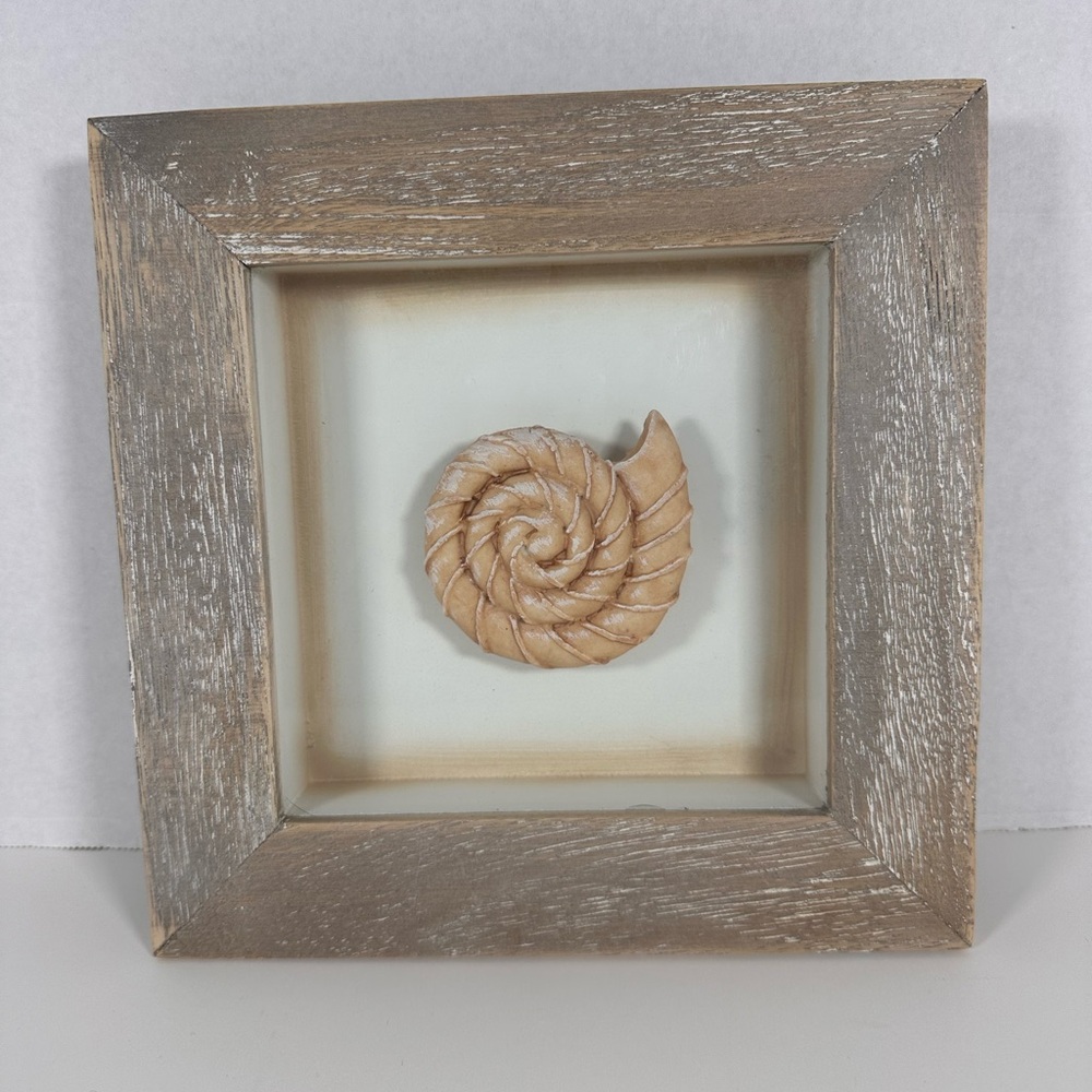 9x9 Shadowbox Framed Faux Seashell, Seashell Home Decor, Mounted Shell in Frame